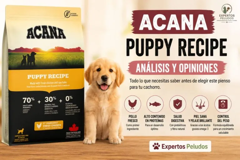 Acana Puppy Recipe para cachorros, análisis, opinión e ingredientes