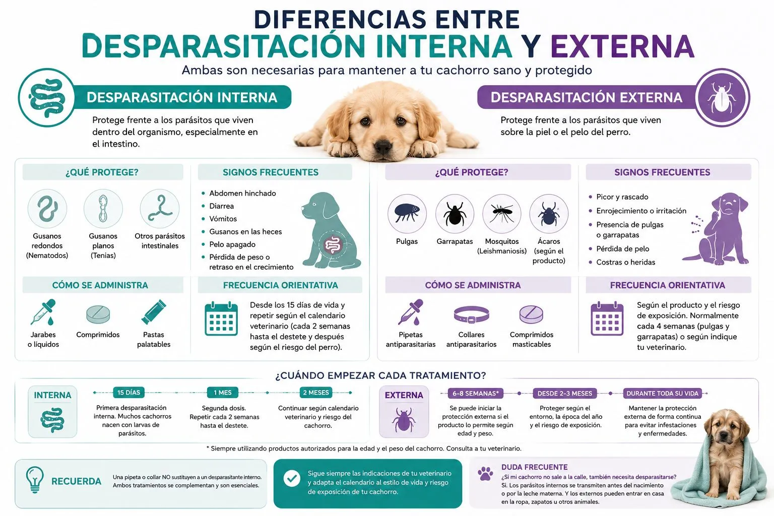 Infografía que compara la desparasitación interna y externa en un cachorro, indicando qué protege cada tratamiento y cuándo debe iniciarse.