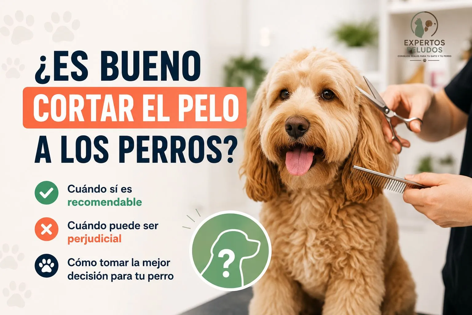 Perro durante un corte de pelo en una peluquería canina para explicar cuándo es recomendable cortar el pelo a los perros y cuándo no.