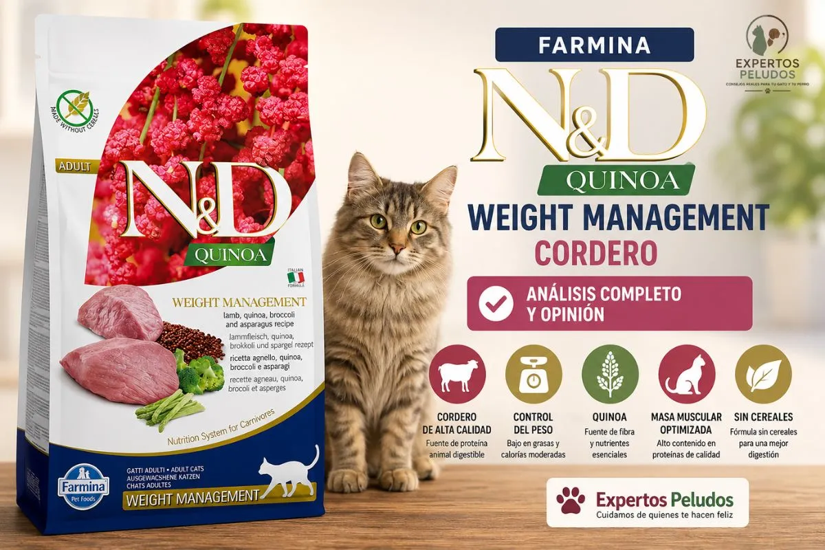 FARMINA N&D Cat Quinoa Weight Management Cordero: análisis, ingredientes y opinión