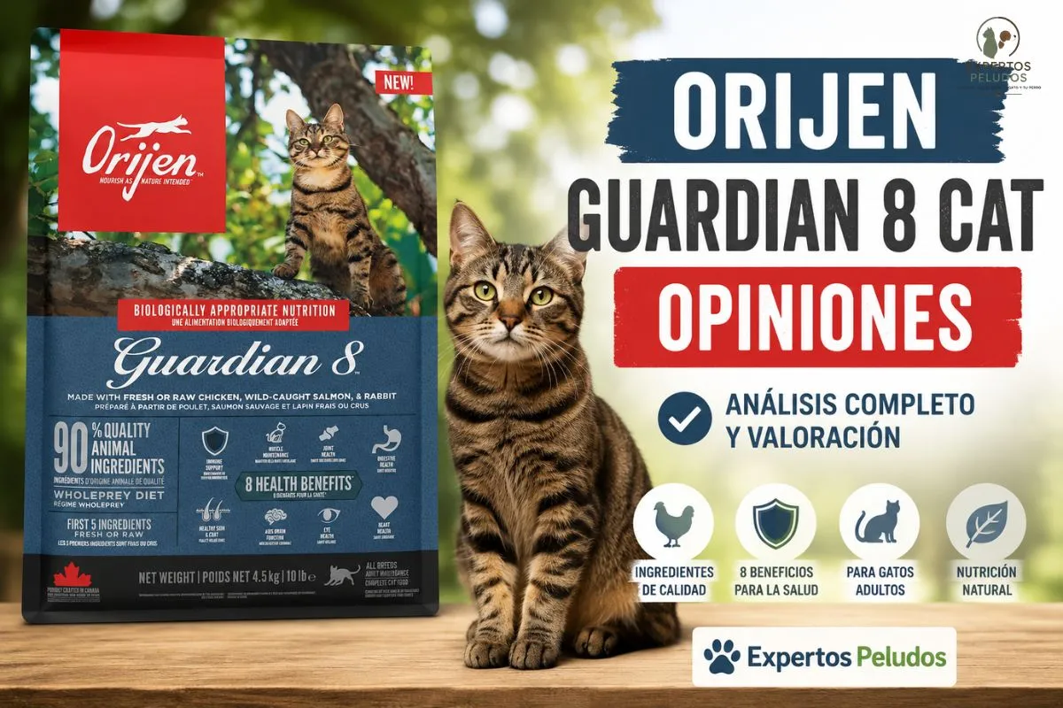 Orijen Guardian 8 Cat: opiniones, análisis y nuestra valoración